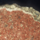 Magnified view of the mud layer, coated with red and white pigment.
